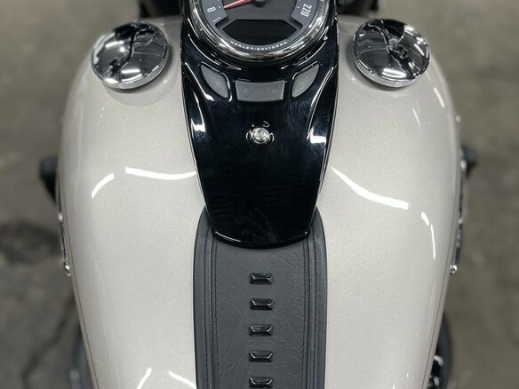 2018 Harley-Davidson Heritage, бежевый, 1490000 рублей - вид 30