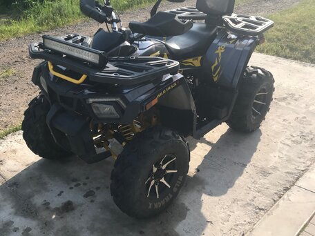 2023 Motoland Wild Track 200 X Pro, чёрный, 165000 рублей, вид 1