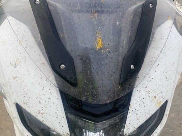 2021 BMW R 1250 RT, белый, 2250000 рублей - вид 5