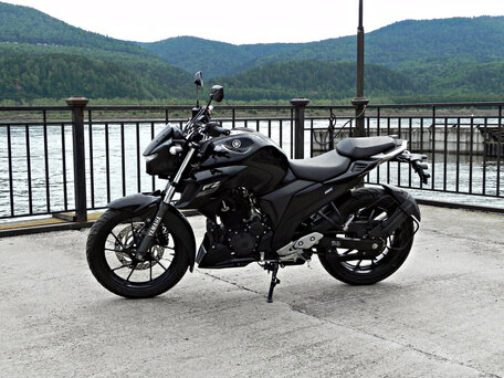 2020 Yamaha FZ25 Fazer, чёрный, 360000 рублей, вид 1