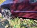 2000 Dodge Caravan III, пурпурный, 200000 рублей - вид 7