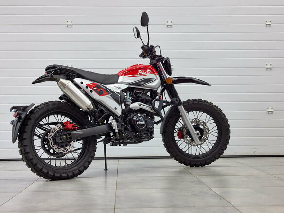 2024 Fuego Rambolor 250, красный, 159900 рублей - вид 18