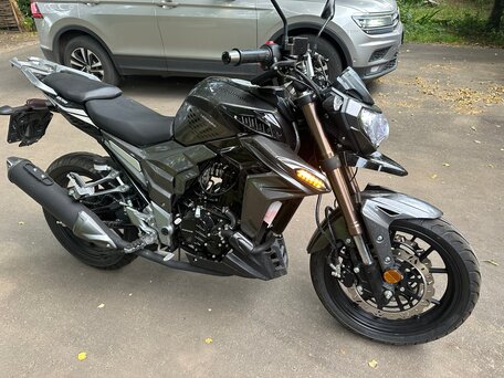 2023 Regulmoto T-Leopard 300, чёрный, 200000 рублей, вид 3