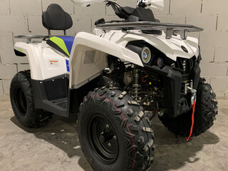 2021 Motoland ATV 200 Shark, белый, 236800 рублей, вид 3