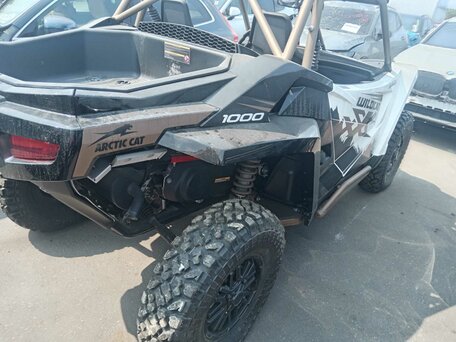 2023 Arctic Cat Wildcat, белый, 2152922 рублей, вид 5