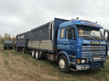 1993 Scania 3-Series, синий, 2800000 рублей, вид 3