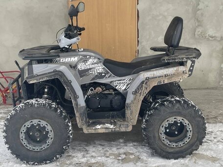 2024 Другие ATV (другие), серый, 210000 рублей, вид 2