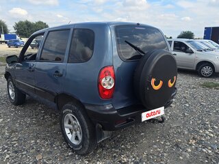2008 Chevrolet Niva I, серый, 358000 рублей, вид 4