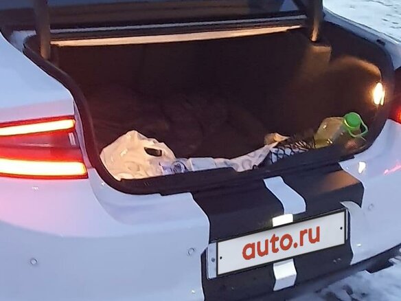 2019 Dodge Charger R__T VII (LD) Рестайлинг, белый, 4300000 рублей - вид 9