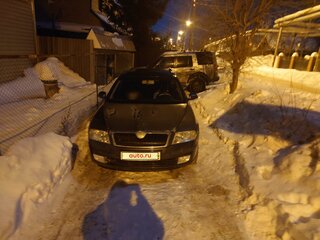 2007 Skoda Octavia II (A5), серый, 630000 рублей, вид 3