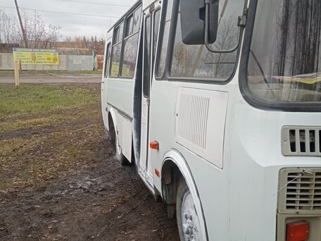 2012 ПАЗ 32053-20, белый, 450000 рублей, вид 2