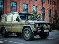 1993 Mercedes-Benz G-Класс 350 II (W463), зелёный
