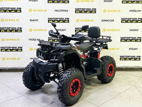 2025 Bison Warrior 200, чёрный, 239900 рублей, вид 1