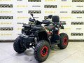 2025 Bison Warrior 200, чёрный