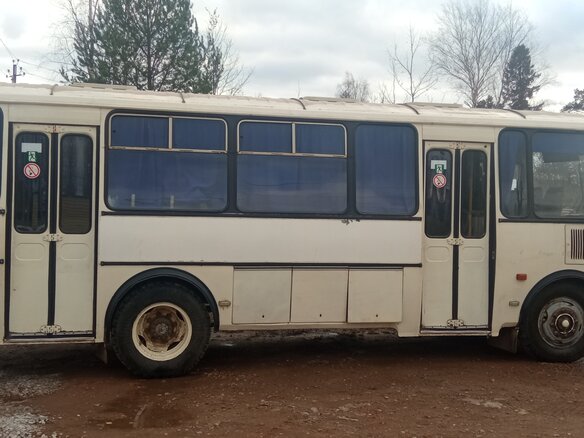 2007 ПАЗ 4234, белый, 350000 рублей - вид 3