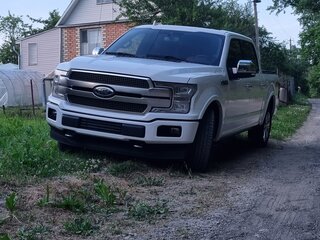 2019 Ford F-150 XIII Рестайлинг, белый, 4315000 рублей, вид 2