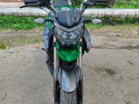 2022 Regulmoto T-Leopard 300, зелёный, 200000 рублей, вид 3