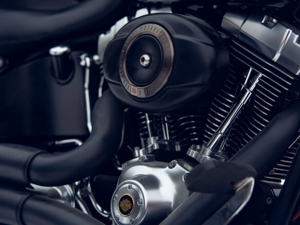 2013 Harley-Davidson Fat Boy, коричневый, 1350000 рублей - вид 14