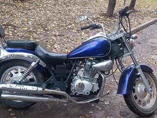 2010 Patron Indigo, синий, 90000 рублей, вид 3