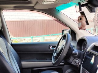 2010 Nissan X-Trail II, серый, 1000000 рублей, вид 5
