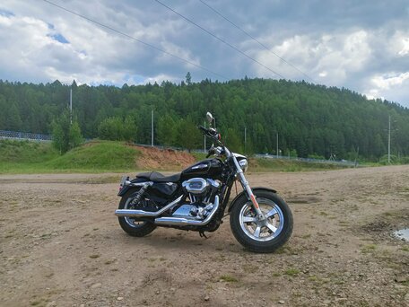 2015 Harley-Davidson Sportster 1200, чёрный, 680000 рублей, вид 3
