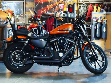 2020 Harley-Davidson Sportster 883, оранжевый, 1150000 рублей, вид 1