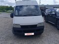 2008 Fiat Professional Ducato, белый, 950000 рублей - вид 4