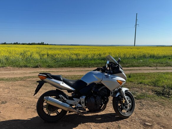 2004 Honda CBF 600, серебристый, 449000 рублей - вид 1