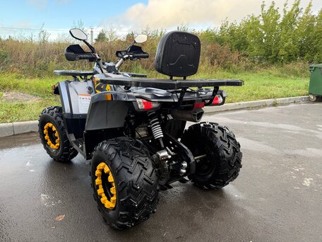 2025 Motoland Wild Track 200 X Pro, синий, 200000 рублей, вид 3