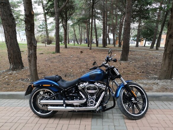 2018 Harley-Davidson Breakout, синий, 2500000 рублей - вид 9