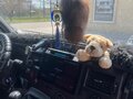 2012 Ford Transit, серебристый, 1300000 рублей - вид 6