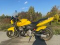 2002 Honda CB 600F Hornet, жёлтый, 425000 рублей - вид 4