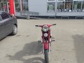 1973 Jawa 350/360, красный, 1200000 рублей - вид 6