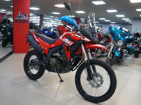 2025 Loncin DS250, красный, 258000 рублей, вид 5