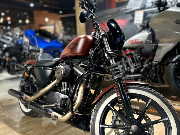 2017 Harley-Davidson Sportster 883, коричневый, 1450000 рублей - вид 10