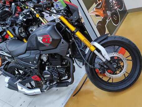 2023 Shineray XY250-11A (COBRA), чёрный, 115000 рублей, вид 3