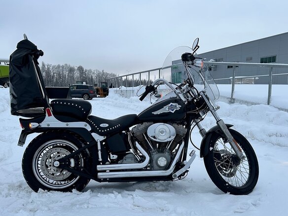 2001 Harley-Davidson Softail Standard, чёрный, 789000 рублей - вид 15