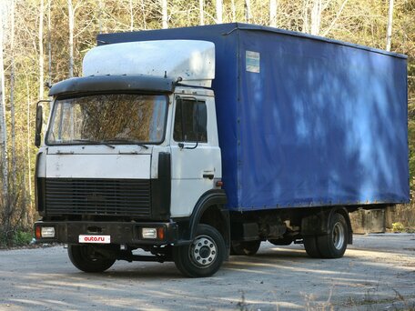 2003 МАЗ 4370, серый, 580000 рублей, вид 2