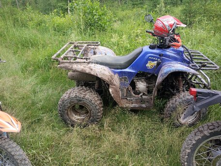 2007 Irbis ATV 300U, синий, 170000 рублей, вид 4