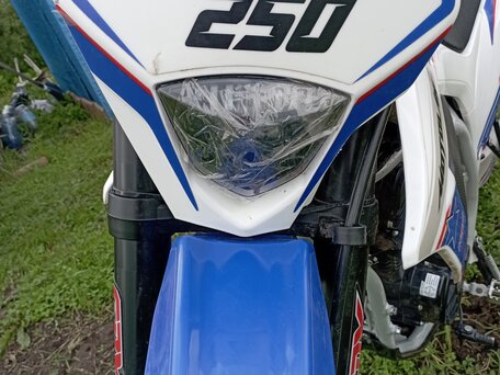 2024 Motoland Enduro 250, синий, 105000 рублей, вид 3
