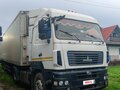 2013 МАЗ 5440, белый, 1800000 рублей - вид 2