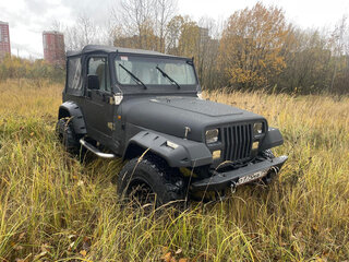 1995 Jeep Wrangler I (YJ), чёрный, 1290000 рублей, вид 4