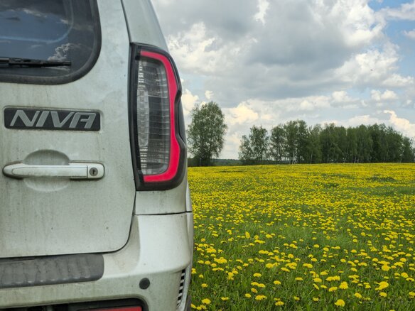2020 Lada (ВАЗ) Niva, белый, 900000 рублей - вид 11