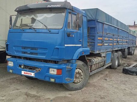 2012 КамАЗ 65117, синий, 1100000 рублей, вид 2