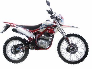 2026 Wels MX250R, красный, 157000 рублей, вид 2