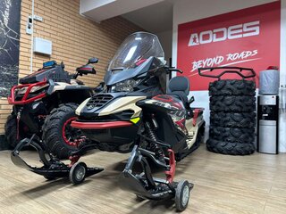 2025 AODES (Odes) Snowcross 1000, бежевый, 999000 рублей, вид 3