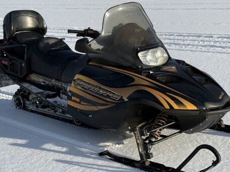 2004 Arctic Cat Pantera, чёрный, 760000 рублей, вид 1