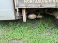 2005 ГАЗ ГАЗель (33023/330273) Фермер, белый, 430000 рублей - вид 3