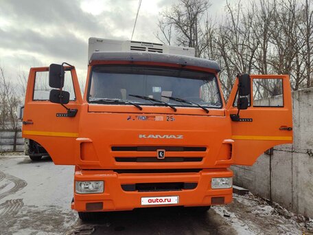2019 КамАЗ 65115, красный, 2900000 рублей, вид 2
