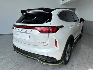 2022 Haval Chitu, белый, 1540000 рублей, вид 4